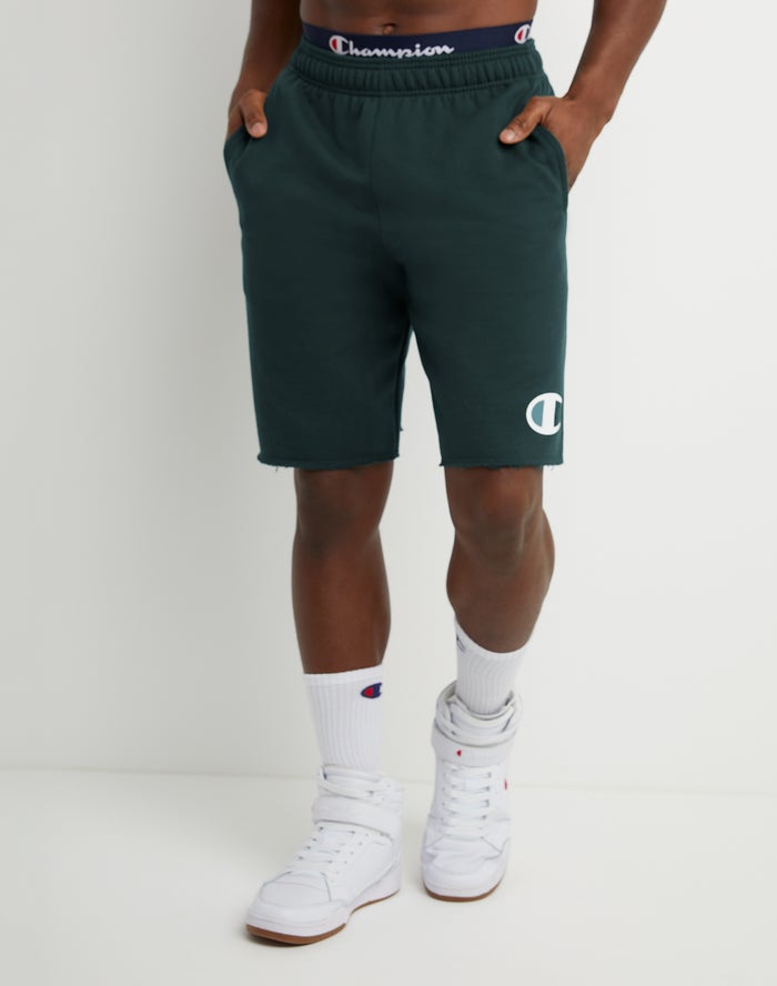 Champion Powerblend Fleece C Logo Mens South Africa Champion